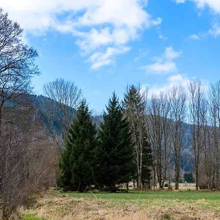 アパート Appt 4 Pers-chalet L'ancienne Ecole Wildenstein